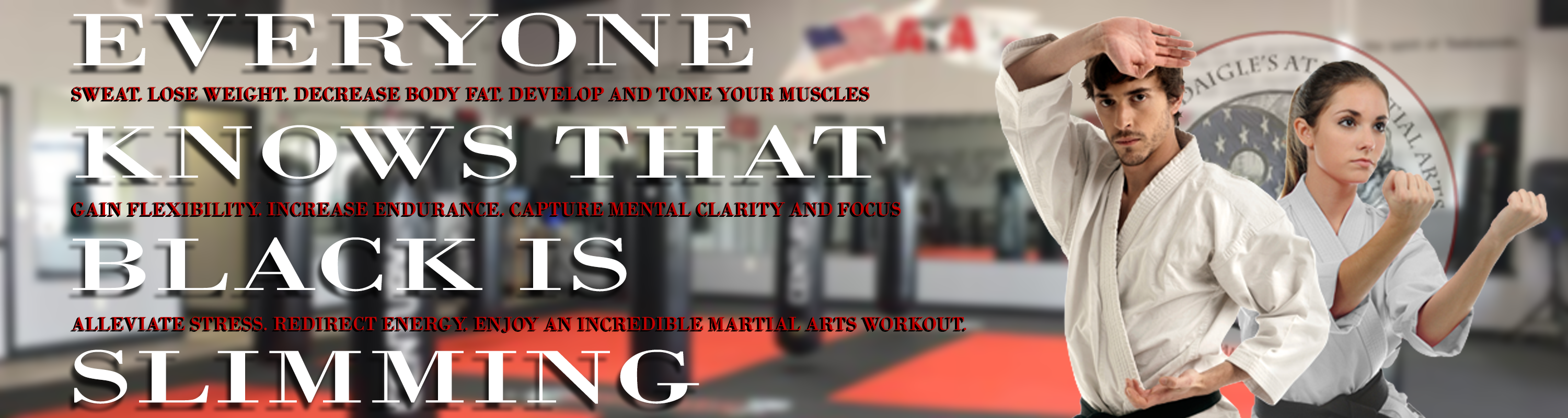 Adult Martial Arts